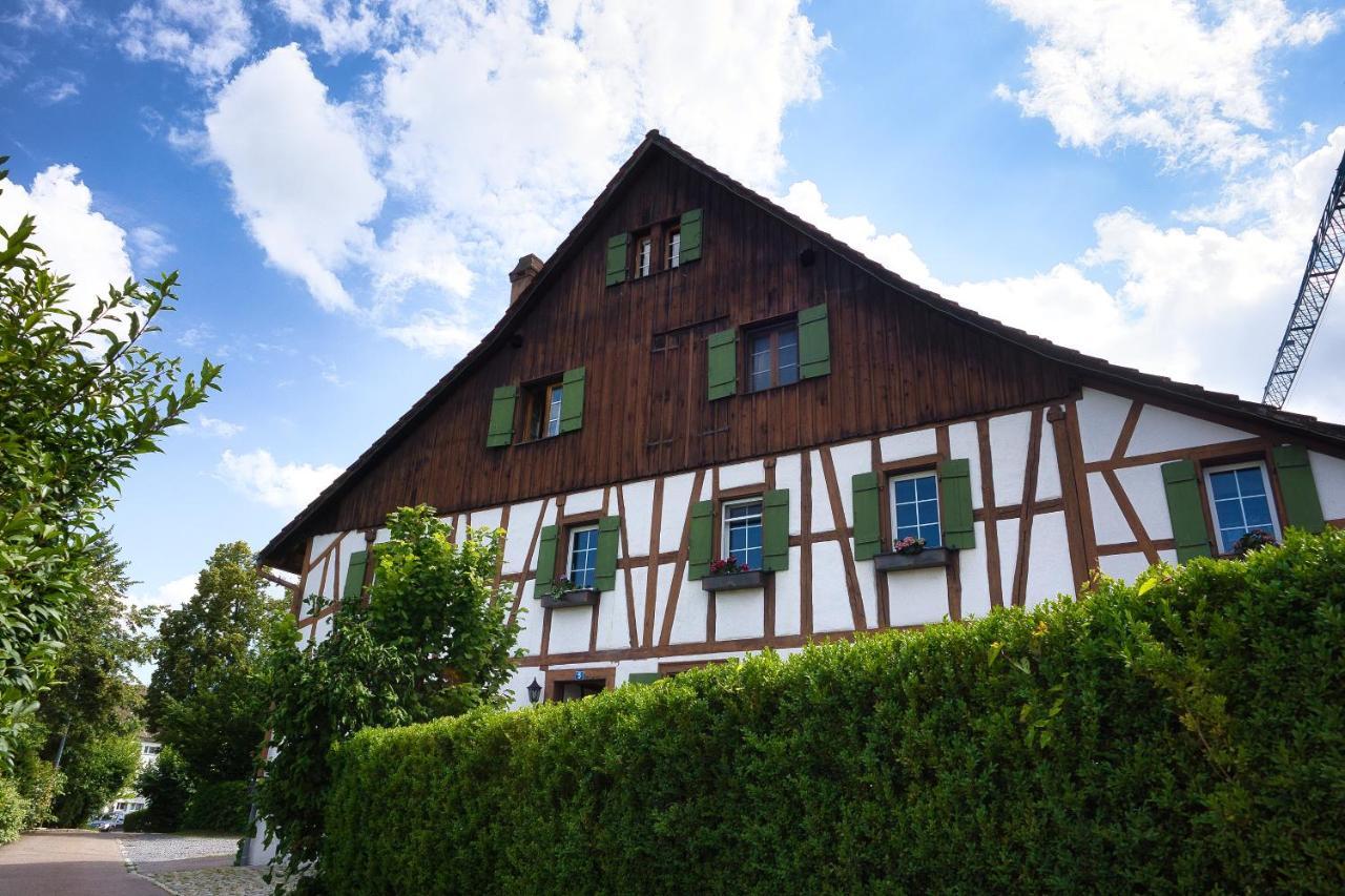 Cozy Apartment Close To Zurich Airport And City Oberglatt Dış mekan fotoğraf