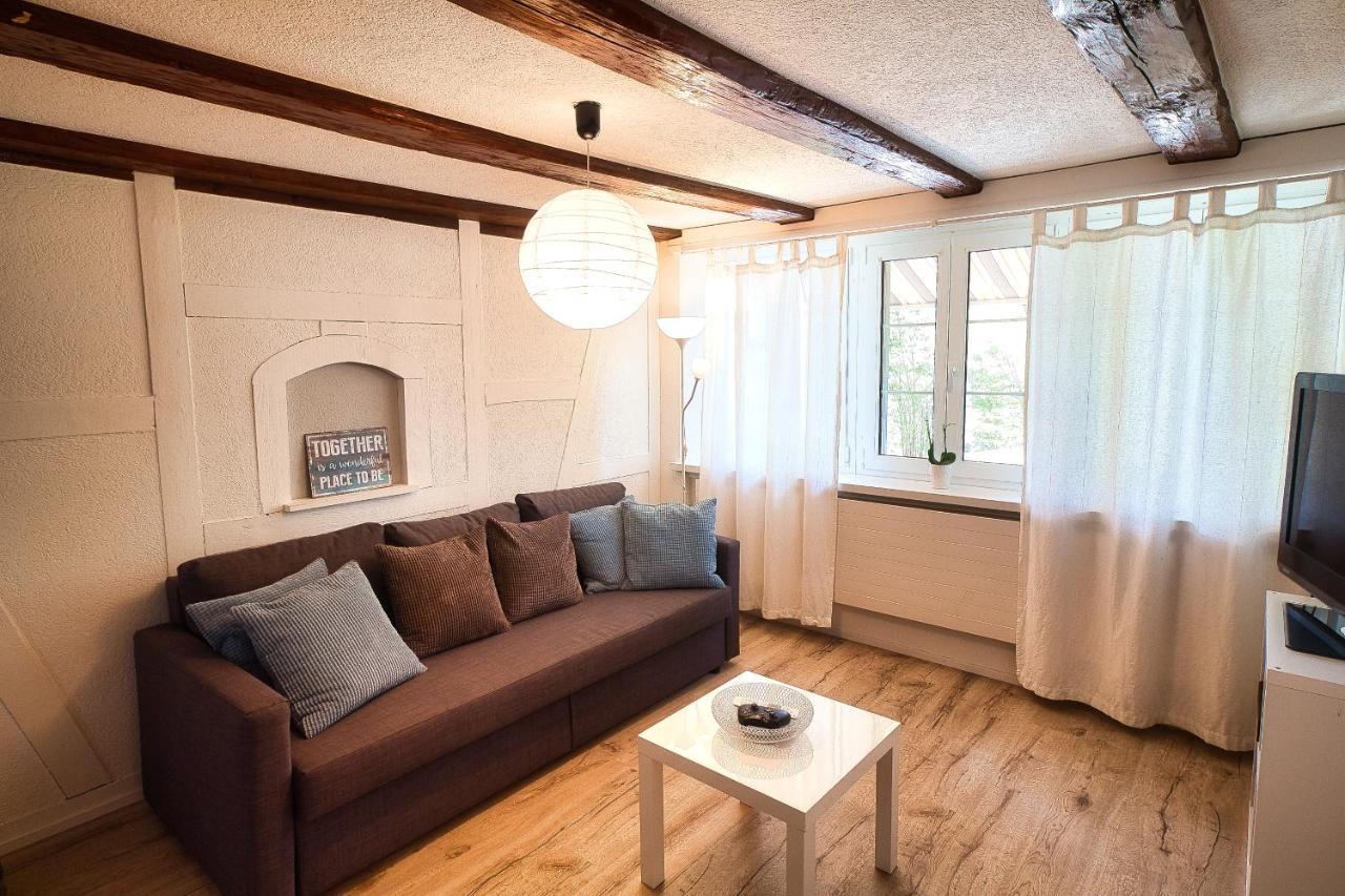Cozy Apartment Close To Zurich Airport And City Oberglatt Dış mekan fotoğraf