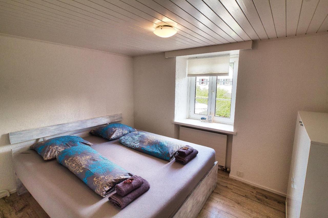 Cozy Apartment Close To Zurich Airport And City Oberglatt Dış mekan fotoğraf