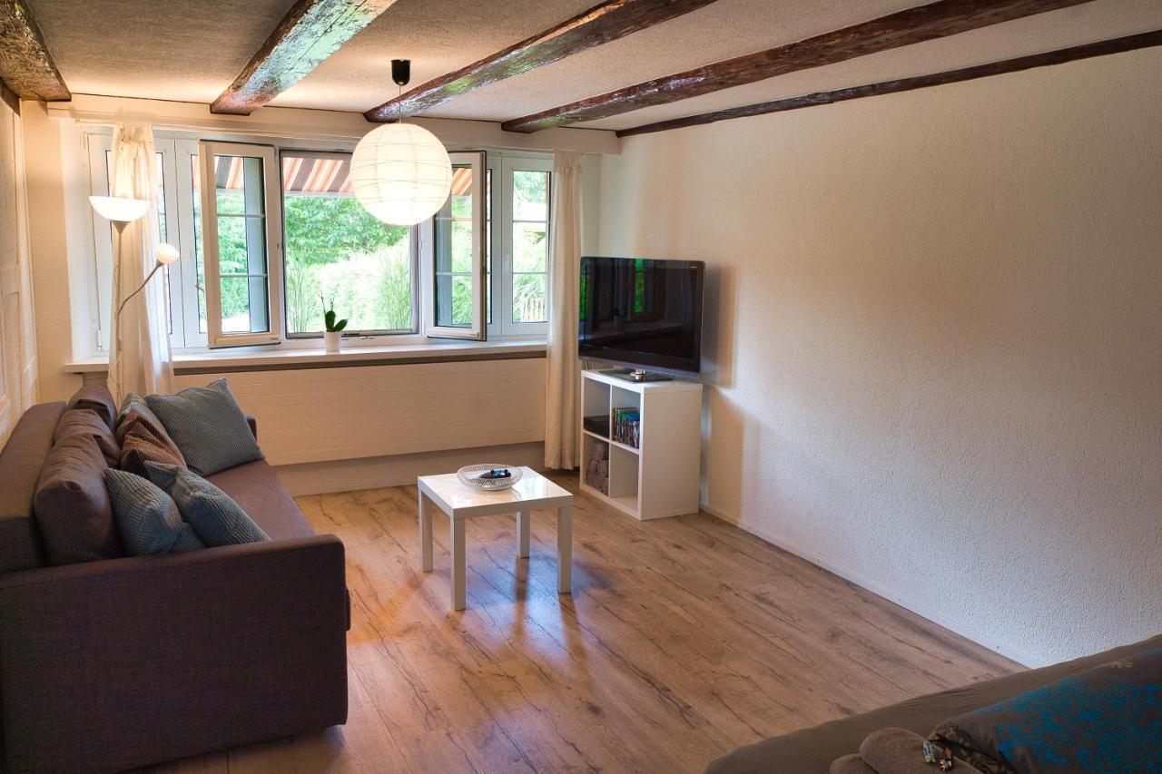Cozy Apartment Close To Zurich Airport And City Oberglatt Dış mekan fotoğraf