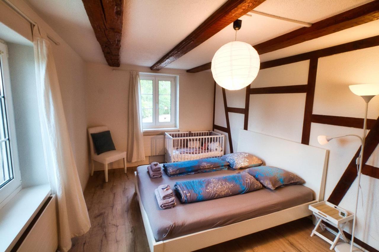 Cozy Apartment Close To Zurich Airport And City Oberglatt Dış mekan fotoğraf