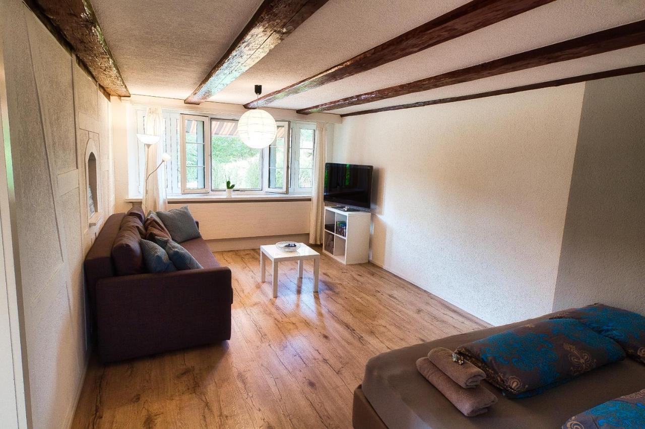 Cozy Apartment Close To Zurich Airport And City Oberglatt Dış mekan fotoğraf