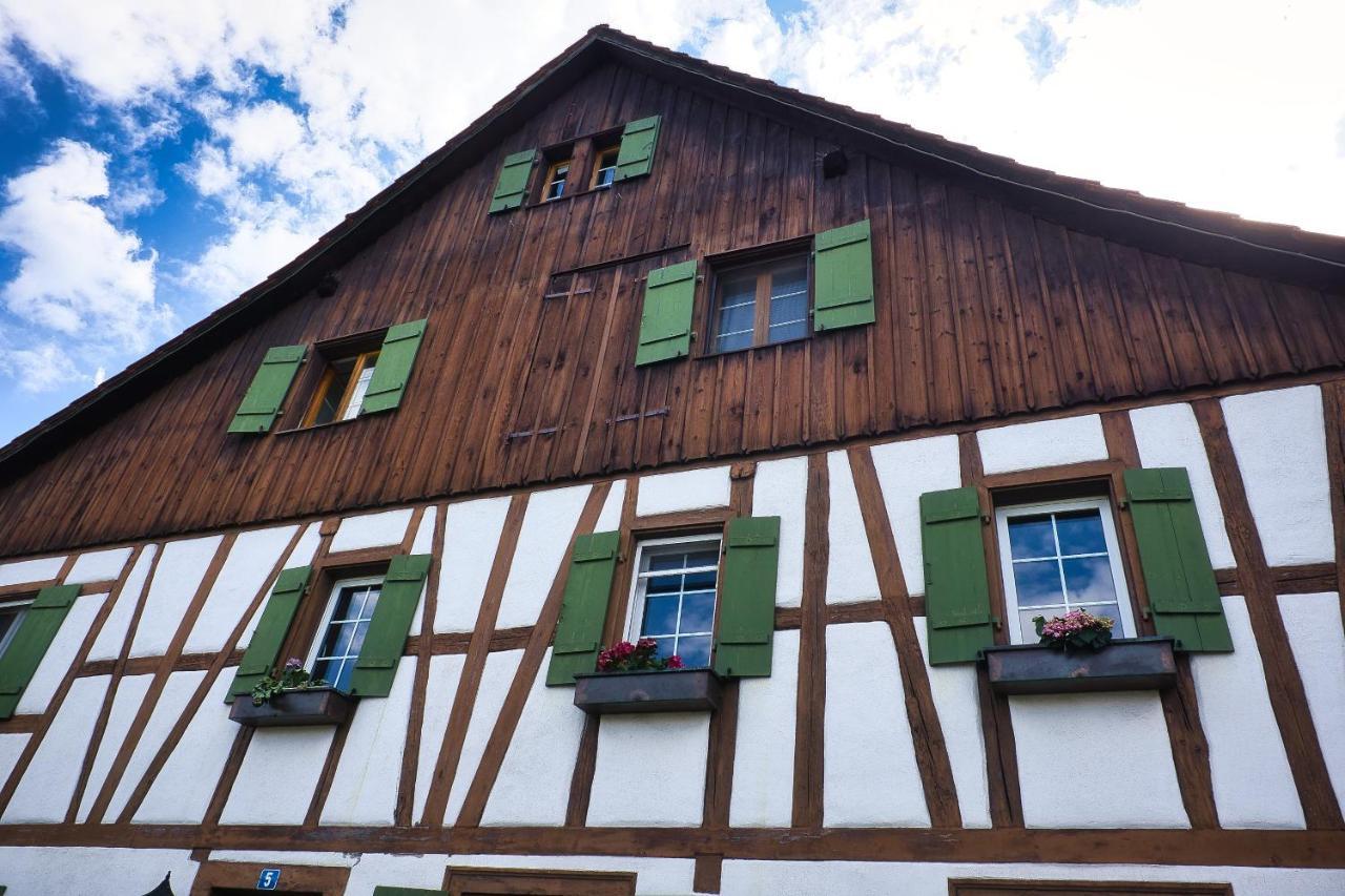 Cozy Apartment Close To Zurich Airport And City Oberglatt Dış mekan fotoğraf